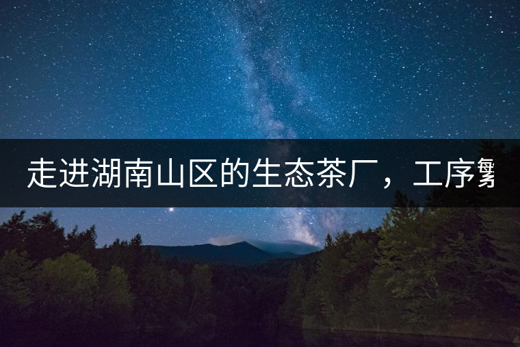 走進(jìn)湖南山區(qū)的生態(tài)茶廠，工序繁雜精細(xì)，538塊錢1斤真值走進(jìn)湖南山區(qū)的生態(tài)茶廠，工序繁雜精細(xì)，538塊錢1斤真值