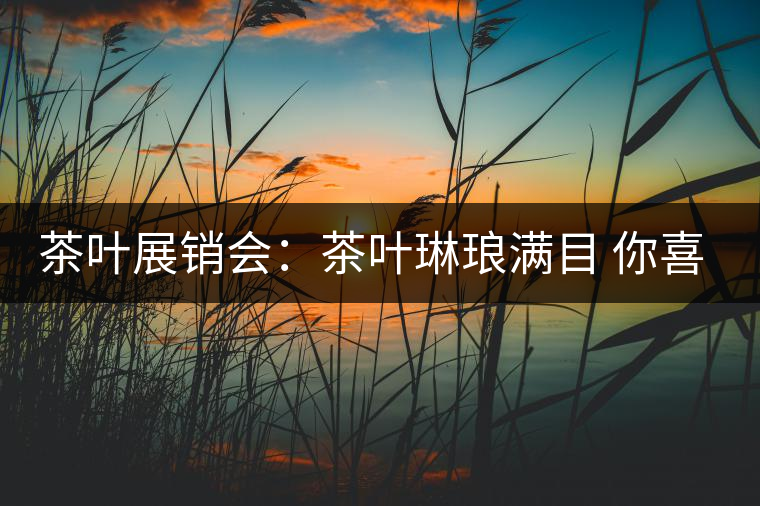 茶葉展銷會：茶葉琳瑯滿目 你喜歡哪種？