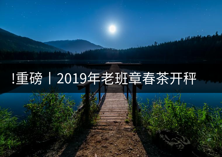 !重磅丨2019年老班章春茶開秤，一筆定價？如此出人意料！