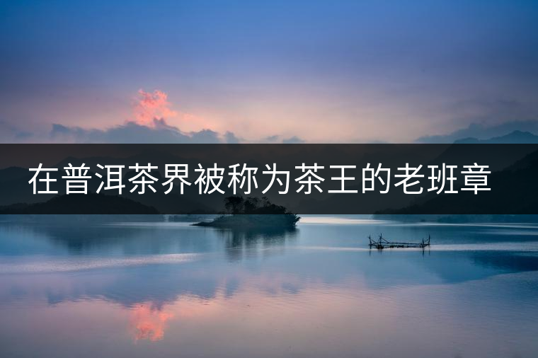 在普洱茶界被稱為茶王的老班章，為何有人愛有人恨？