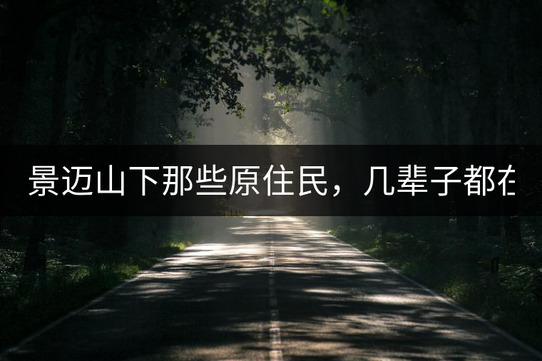 景邁山下那些原住民，幾輩子都在采茶、制茶，才有最...景邁山下那些原住民，幾輩子都在采茶、制茶，才有最好喝的普洱