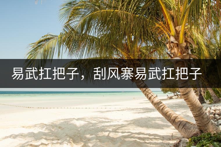 易武扛把子，刮風寨易武扛把子，刮風寨