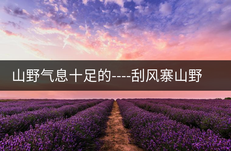 山野氣息十足的----刮風寨山野氣息十足的————刮風寨