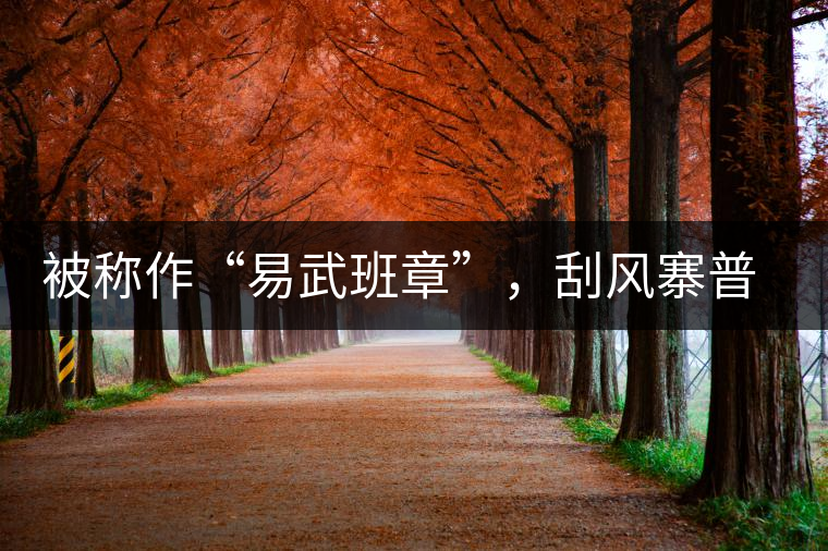 被稱作“易武班章”，刮風(fēng)寨普洱茶是否實(shí)至名歸?被稱作“易武班章”，刮風(fēng)寨普洱茶是否實(shí)至名歸？