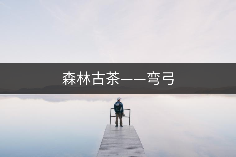 森林古茶——彎弓
