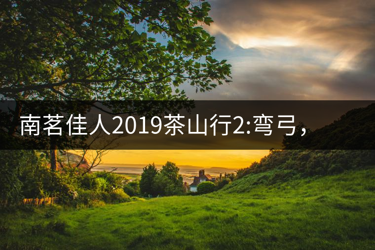 南茗佳人2019茶山行2:彎弓，一路艱辛，只為這有生命...南茗佳人2019茶山行2：彎弓，一路艱辛，只為這有生命厚度的茶！