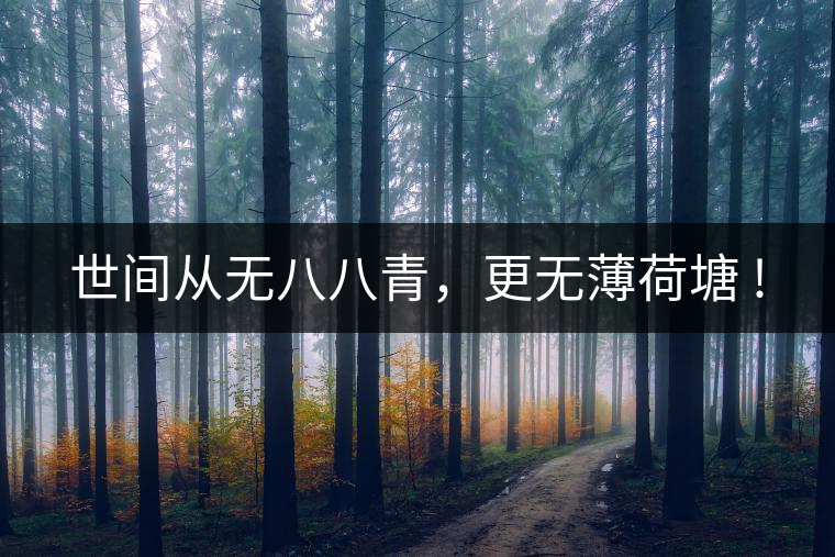 世間從無八八青，更無薄荷塘 !