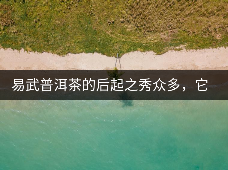 易武普洱茶的后起之秀眾多，它是還沒漲價的一個！