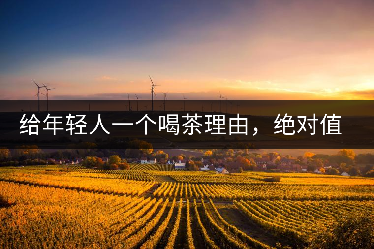 給年輕人一個喝茶理由，絕對值得收藏的茶葉包裝給年輕人一個喝茶理由，絕對值得收藏的茶葉包裝