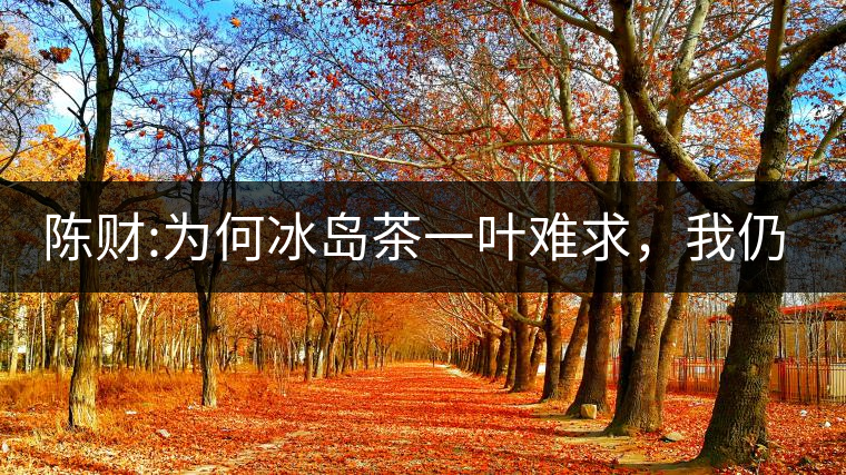 陳財(cái):為何冰島茶一葉難求，我仍然堅(jiān)持
