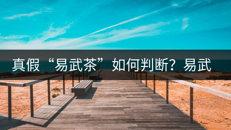 真假“易武茶”如何判斷？易武普洱茶有哪些特點？