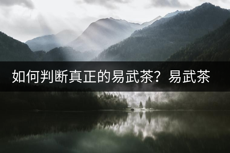 如何判斷真正的易武茶？易武茶有哪些特點(diǎn)？