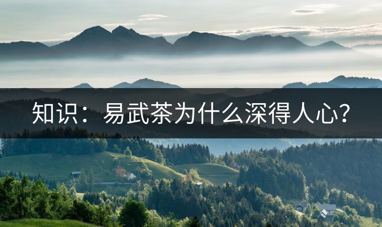 知識(shí)：易武茶為什么深得人心？