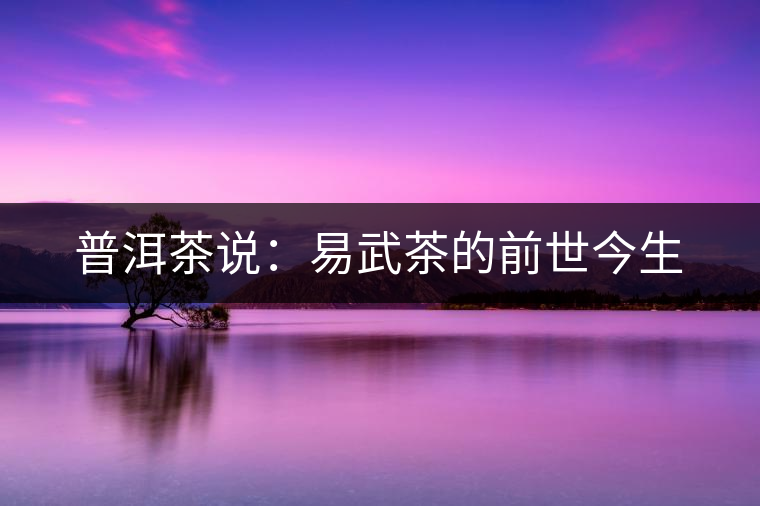 普洱茶說:易武茶的前世今生 普洱茶說:易武茶的前世今生