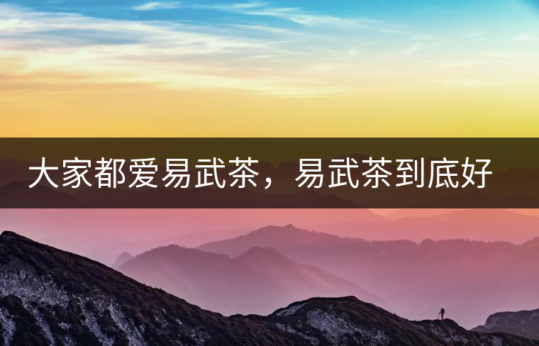 大家都愛(ài)易武茶，易武茶到底好在哪兒?大家都愛(ài)易武茶，易武茶到底好在哪兒？