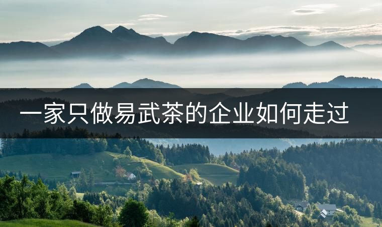 一家只做易武茶的企業(yè)如何走過了十年？