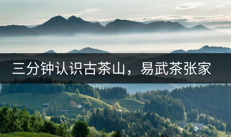 三分鐘認(rèn)識(shí)古茶山，易武茶張家灣寨普洱茶口感特點(diǎn)