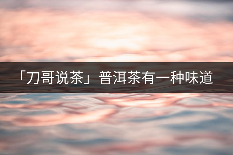 「刀哥說茶」普洱茶有一種味道，只可意會(huì)不可言傳