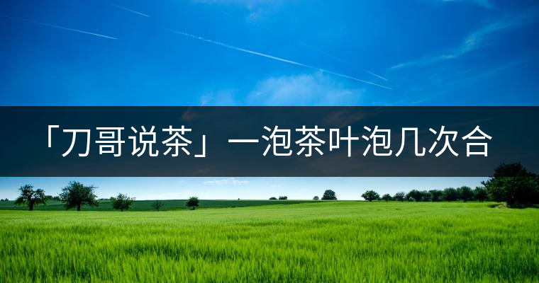 「刀哥說茶」一泡茶葉泡幾次合適?「刀哥說茶」一泡茶葉泡幾次合適？