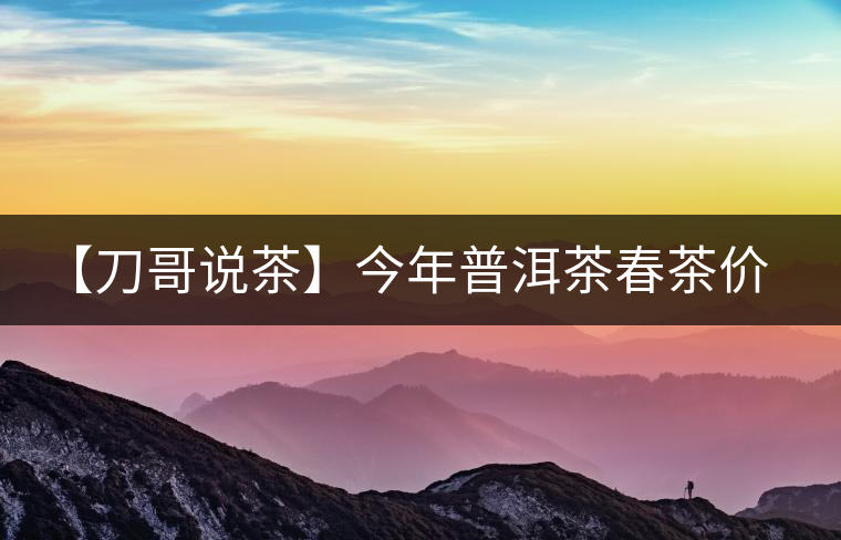 【刀哥說(shuō)茶】今年普洱茶春茶價(jià)格，我不預(yù)測(cè)