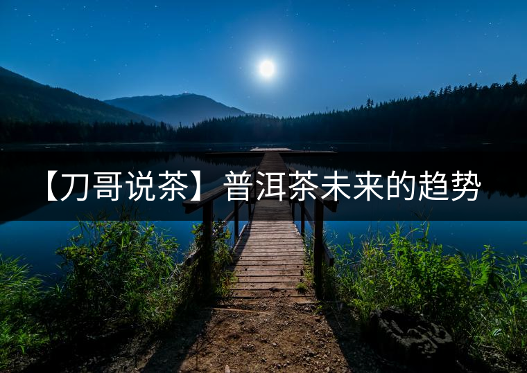 【刀哥說茶】普洱茶未來的趨勢，我看好熟茶