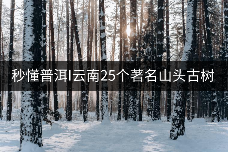 秒懂普洱I云南25個(gè)著名山頭古樹(shù)普洱茶的特點(diǎn)及口感!(太全了,快收藏!) 秒懂普洱I云南25個(gè)著名山頭古樹(shù)普洱茶的特點(diǎn)及口感!(太全了,快收藏!)