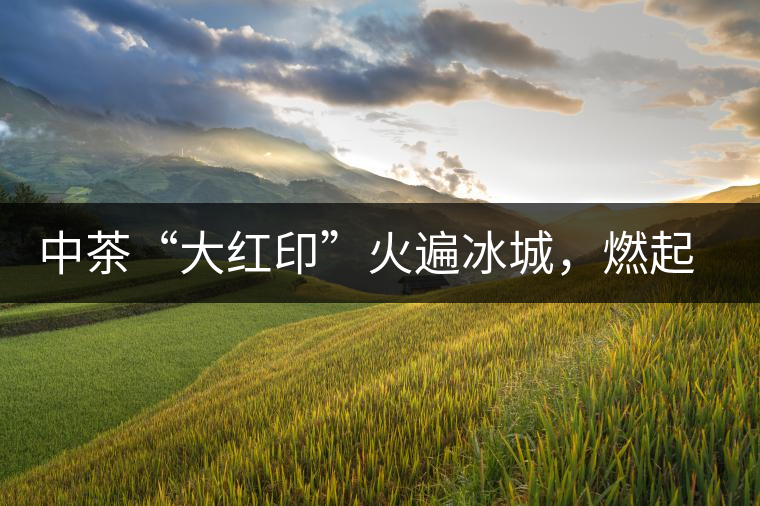 中茶“大紅印”火遍冰城，燃起普洱茶新味蕾