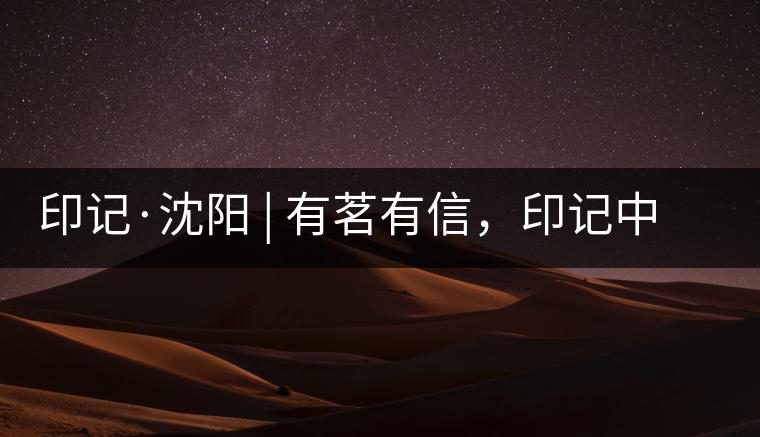 印記·沈陽 | 有茗有信，印記中茶，中茶普洱亮相沈陽茶博會