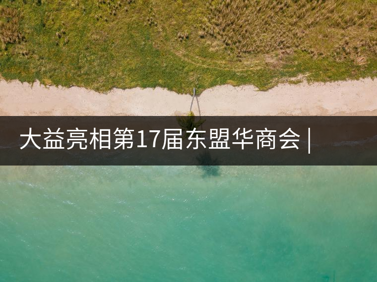 大益亮相第17屆東盟華商會 | 海內外嘉賓共謀發(fā)展，共品大益茶