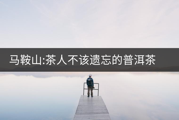 馬鞍山:茶人不該遺忘的普洱茶山馬鞍山：茶人不該遺忘的普洱茶山