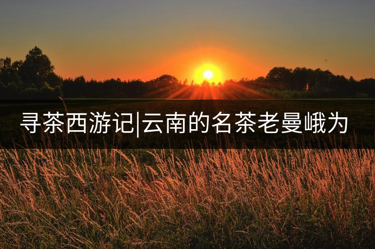 尋茶西游記|云南的名茶老曼峨為什么這么多人愛(ài)，這里...尋茶西游記｜云南的名茶老曼峨為什么這么多人愛(ài)，這里給你答案！