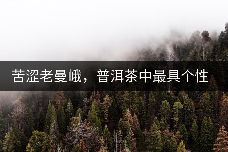苦澀老曼峨，普洱茶中最具個性的“布朗味”苦澀老曼峨，普洱茶中最具個性的“布朗味”