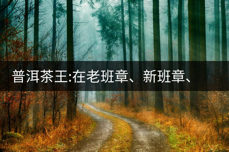 普洱茶王:在老班章、新班章、老曼峨之間普洱茶王：在老班章、新班章、老曼峨之間
