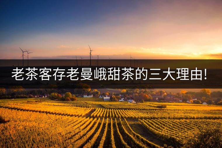 老茶客存老曼峨甜茶的三大理由!老茶客存老曼峨甜茶的三大理由！