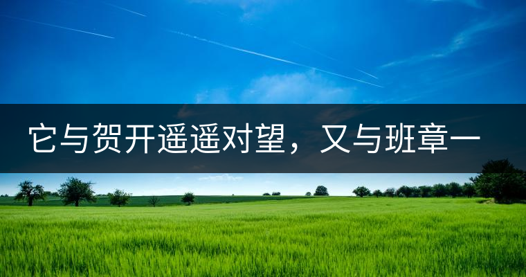它與賀開遙遙對望，又與班章一衣帶水，它是班盆古樹春尖它與賀開遙遙對望，又與班章一衣帶水，它是班盆古樹春尖
