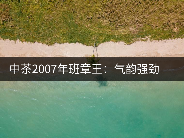 中茶2007年班章王：氣韻強(qiáng)勁，蜂蜜水般甜潤，一直被老茶客撿漏