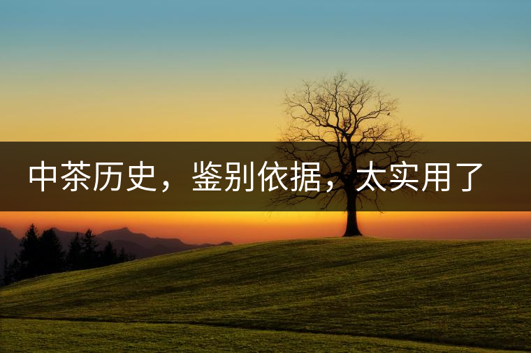 中茶歷史，鑒別依據(jù)，太實用了中茶歷史，鑒別依據(jù)，太實用了