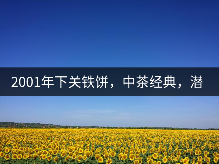 2001年下關(guān)鐵餅，中茶經(jīng)典，潛力可期!