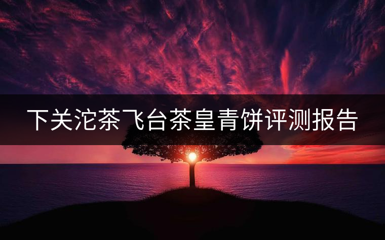下關(guān)沱茶飛臺(tái)茶皇青餅評(píng)測(cè)報(bào)告 下關(guān)沱茶飛臺(tái)茶皇青餅評(píng)測(cè)報(bào)告