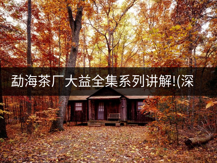 勐海茶廠大益全集系列講解!(深度講解大益茶品，建議收藏...勐海茶廠大益全集系列講解?。ㄉ疃戎v解大益茶品，建議收藏）