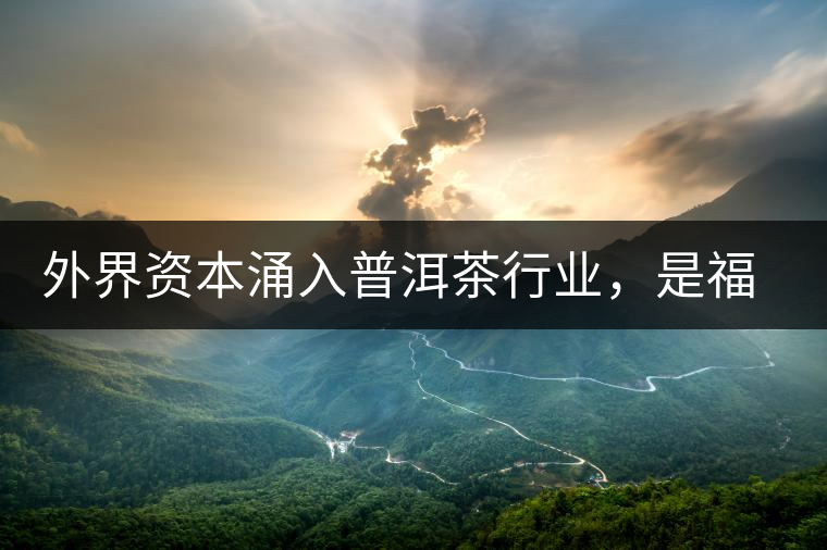 外界資本涌入普洱茶行業(yè)，是福還是禍？