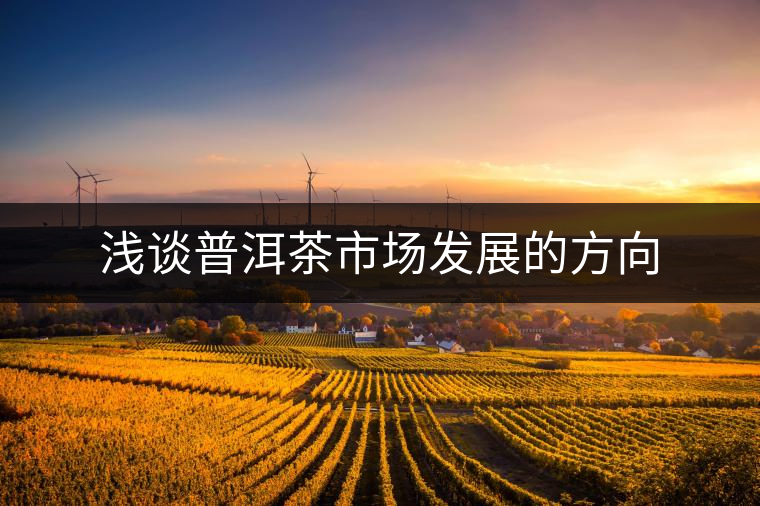 淺談普洱茶市場發(fā)展的方向