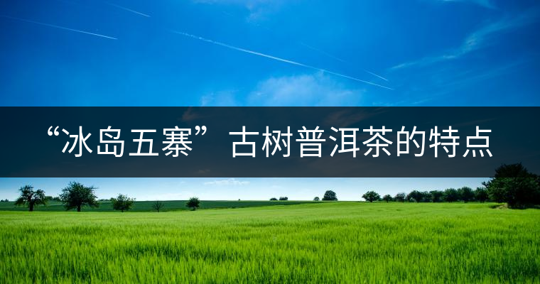 “冰島五寨”古樹普洱茶的特點(diǎn)及區(qū)別 “冰島五寨”古樹普洱茶的特點(diǎn)及區(qū)別