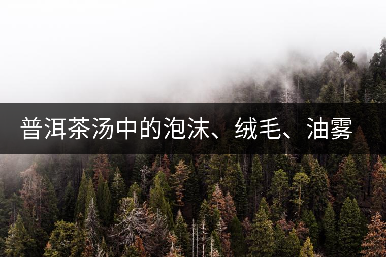 普洱茶湯中的泡沫、絨毛、油霧、絮狀物……原來是這些東西！