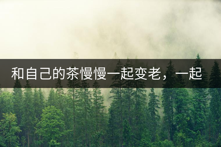 和自己的茶慢慢一起變老，一起變好