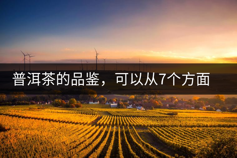 普洱茶的品鑒，可以從7個(gè)方面著手