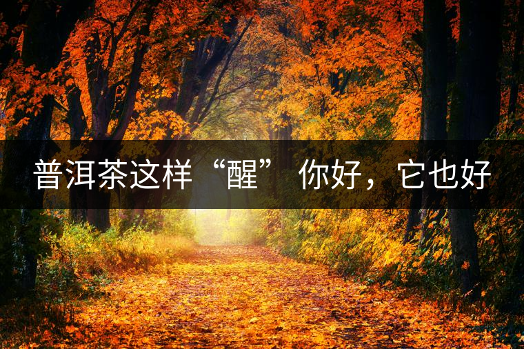 普洱茶這樣“醒” 你好，它也好