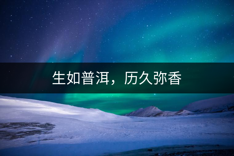 生如普洱，歷久彌香