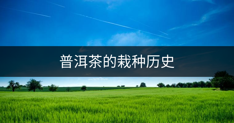 普洱茶的栽種歷史 普洱茶的栽種歷史