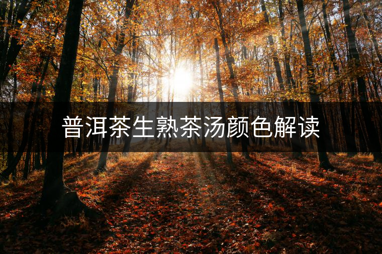 普洱茶生熟茶湯顏色解讀 普洱茶生熟茶湯顏色解讀